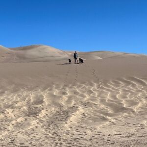 Meet your Posher, Posh